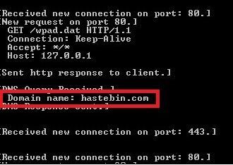 The malware connects to hastebin[.]com