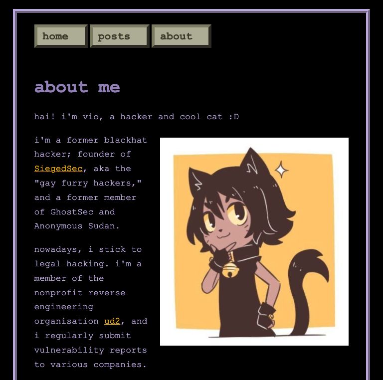 Personal profile of SiegedSec’s founder