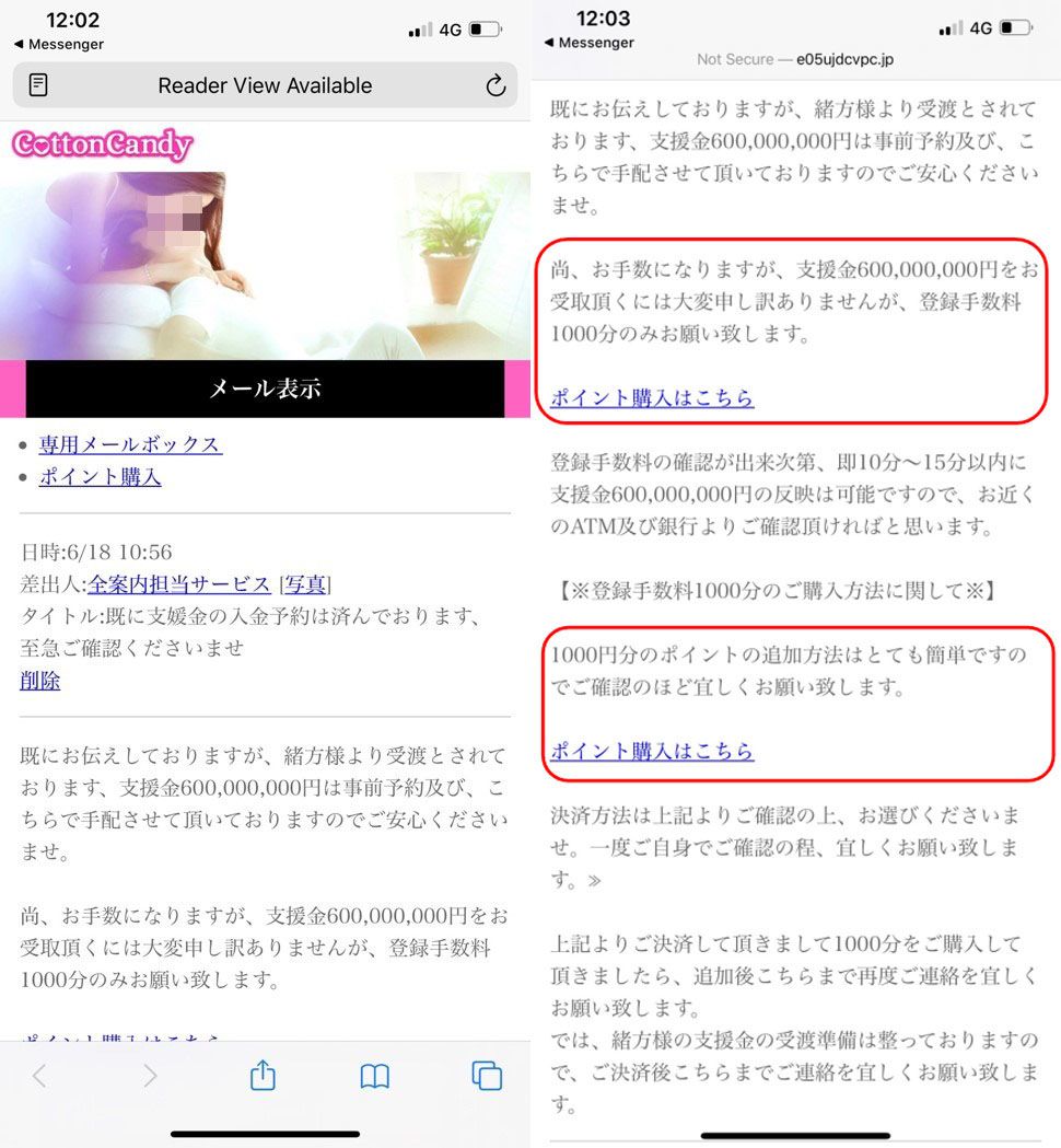 Figure 9. Instructions for membership, purchase of points, and “support money”