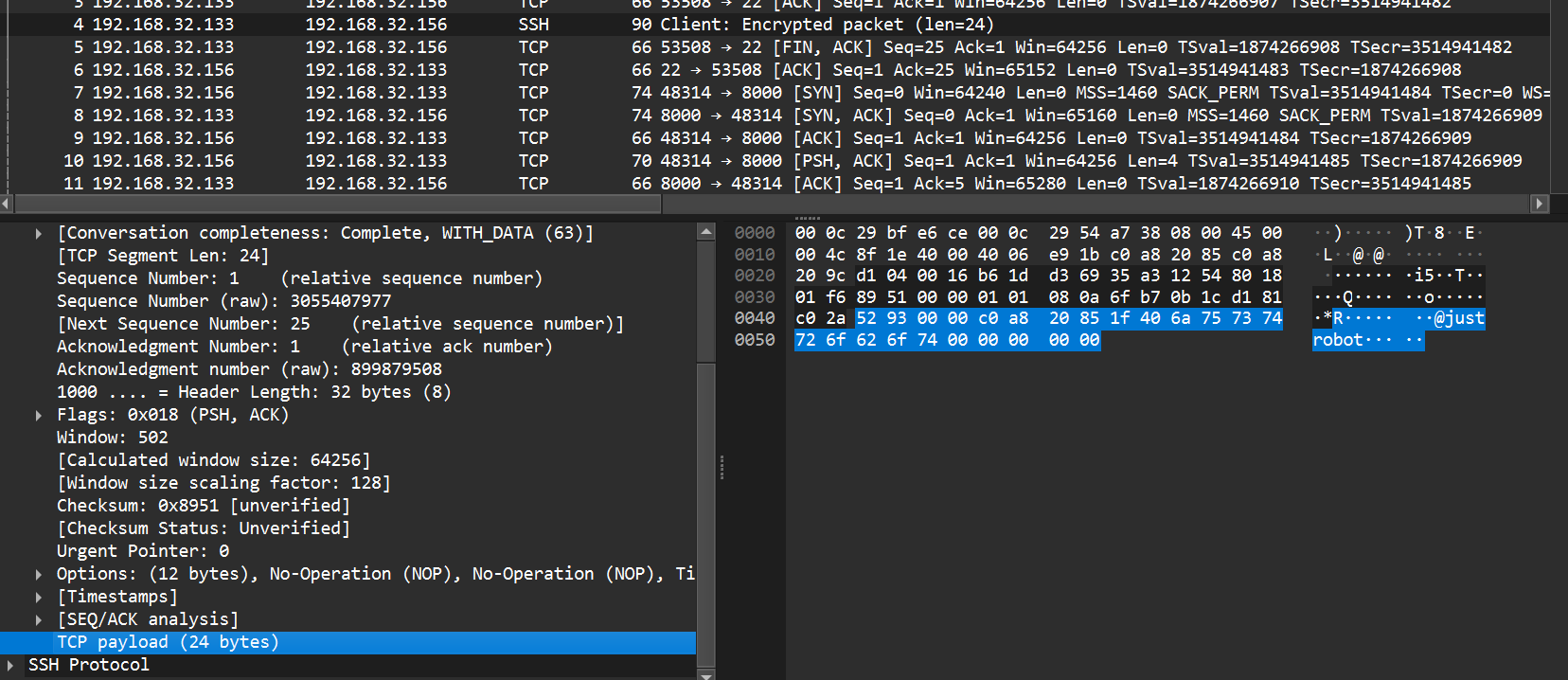 TCP packet sent by the BPFDoor controller to the target with its payload highlighted.