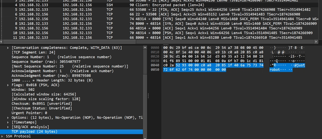 TCP packet sent by the BPFDoor controller to the target with its payload highlighted.