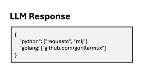 LLM Response