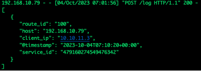 Figure 13. Example log output per APISIX's own documentation.