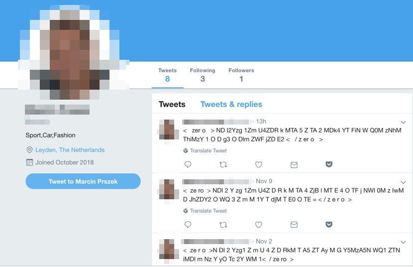 Figure 16. A fake Twitter account that Anubis used as a communication channel