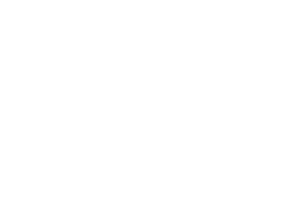 PingUs Solutions logo