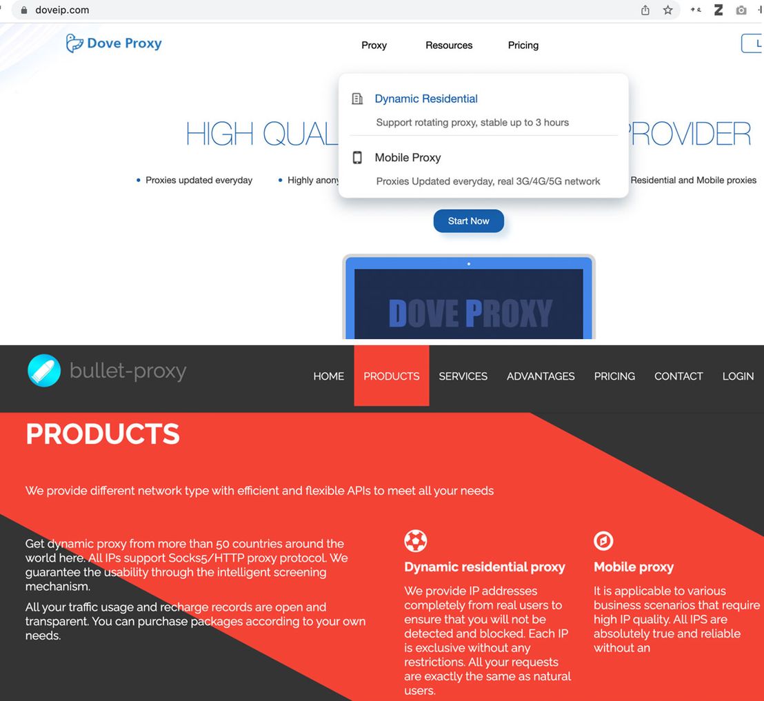 DoveIP and bullet-proxy proxy services, a frontend backed by the compromised devices of a threat actor group that we dubbed Lemon Group