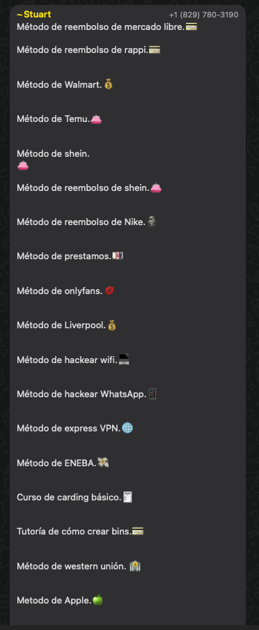 Figure 20. “Los Hijos de Kitah” WhatsApp group offering cashout methods and other related services