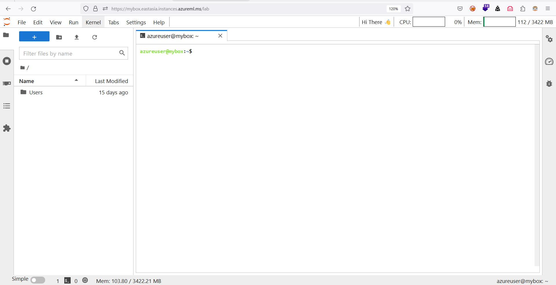 Figure 6. Using JupyterLab to access CI