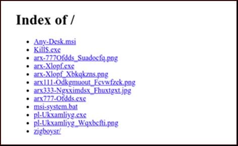 The text displayed on the Nginx web server that the TargetCompany ransomware group switched to from its initial open directory