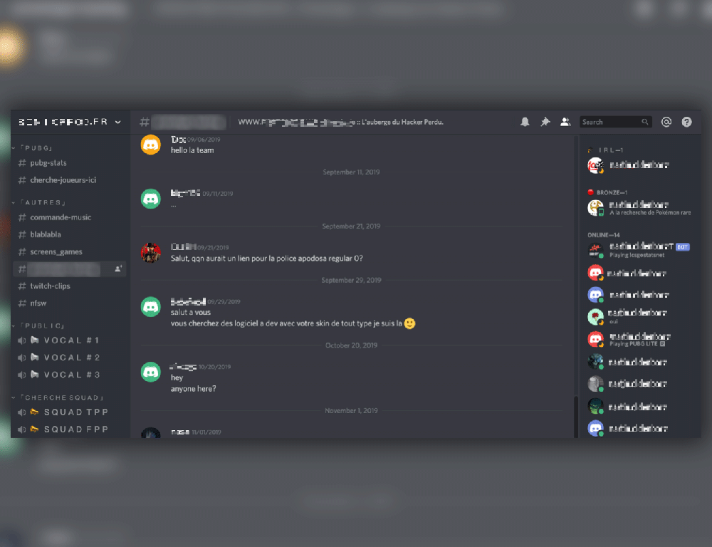Figure 17. French underground forum Piratologie Discord channel