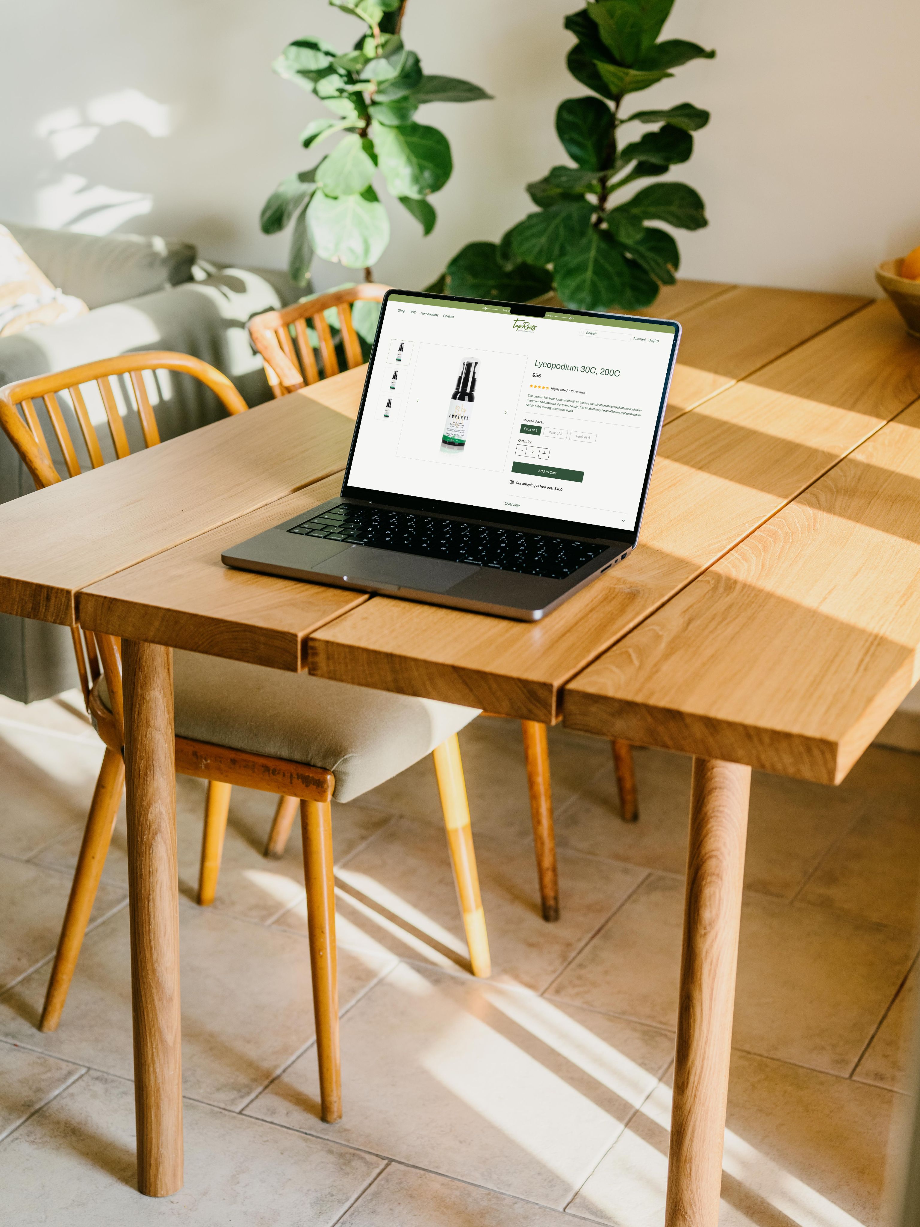 TapRoots strategic execution - laptop showing product page