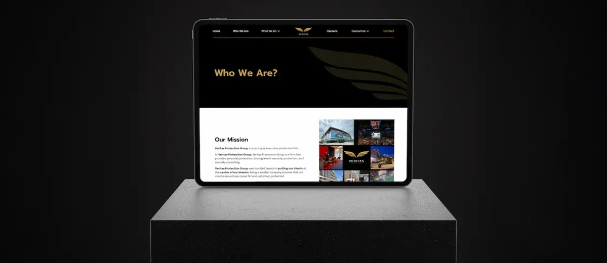 Veritas Protection execution