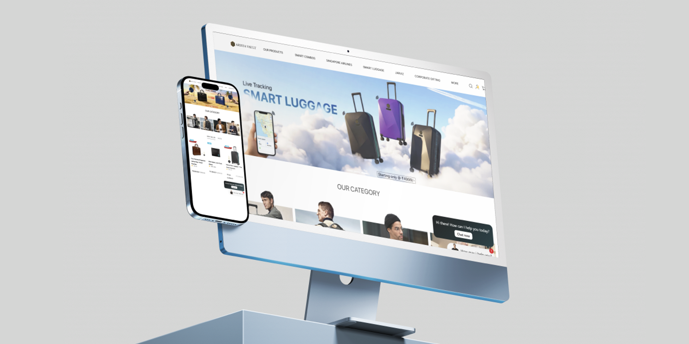 Arista Vault website — store overview mockup