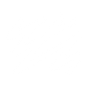 Sanity logo