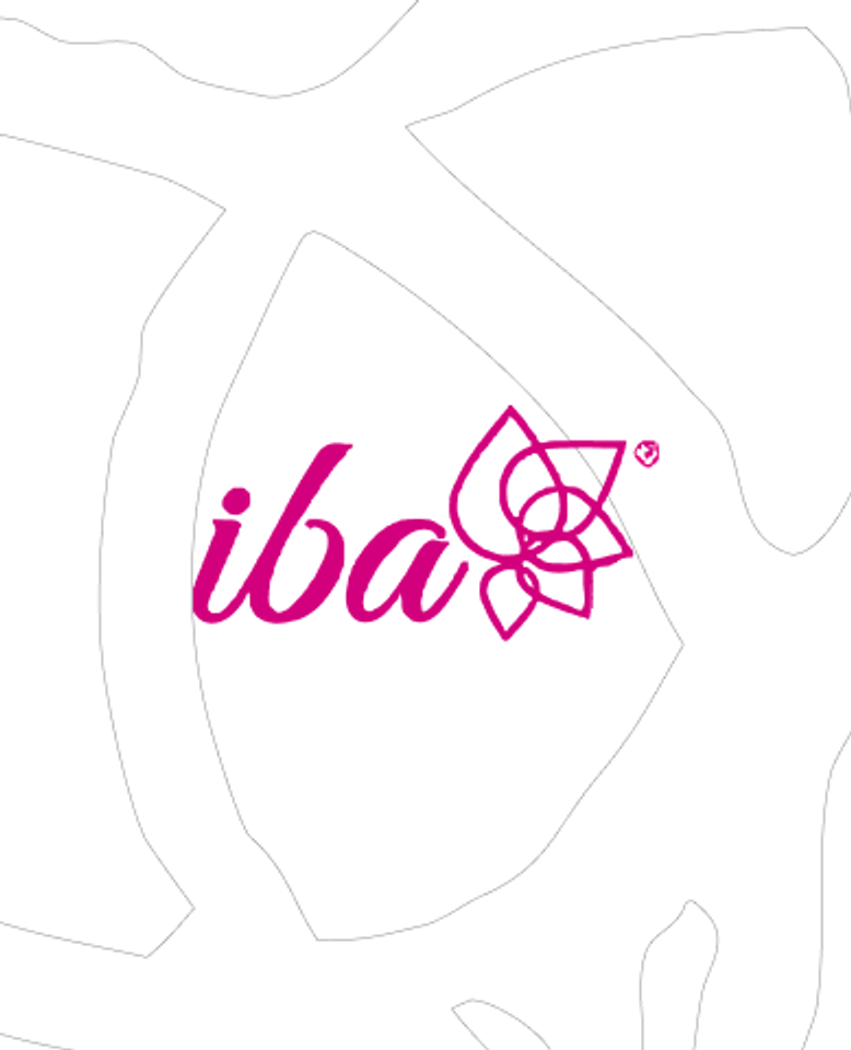 Iba Cosmetics website — page design 3