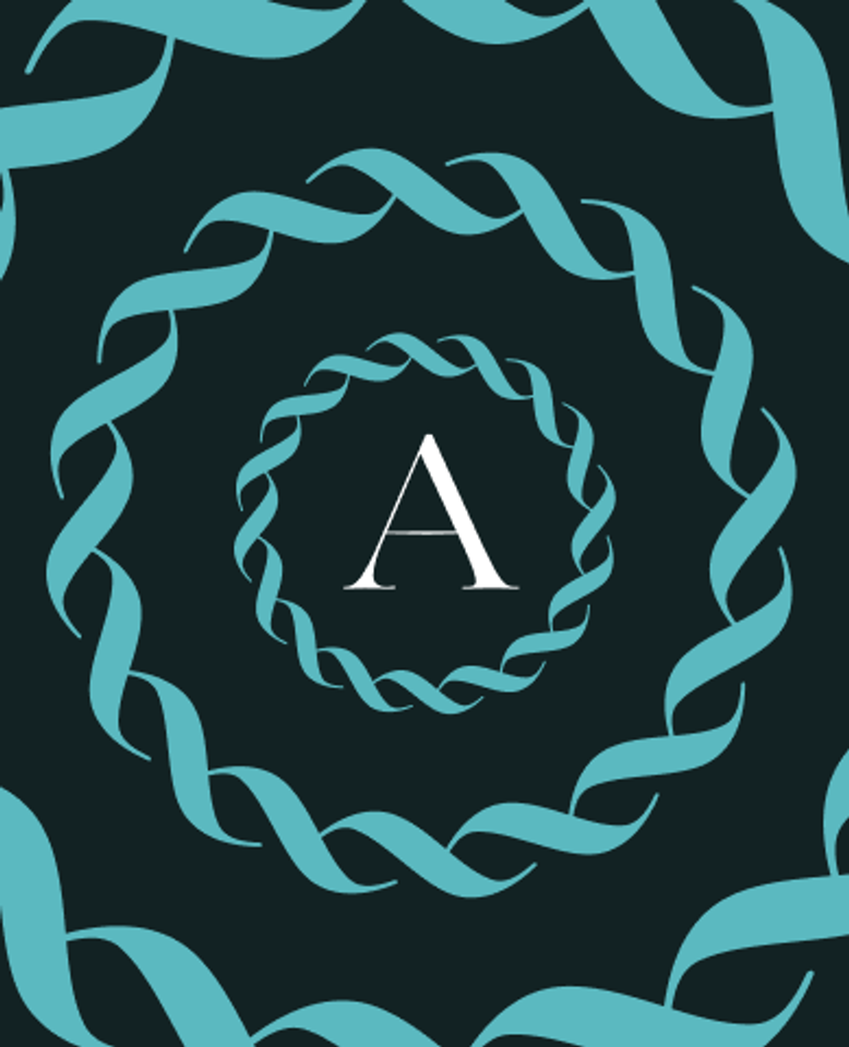 Aquamare Marine website — page design 3