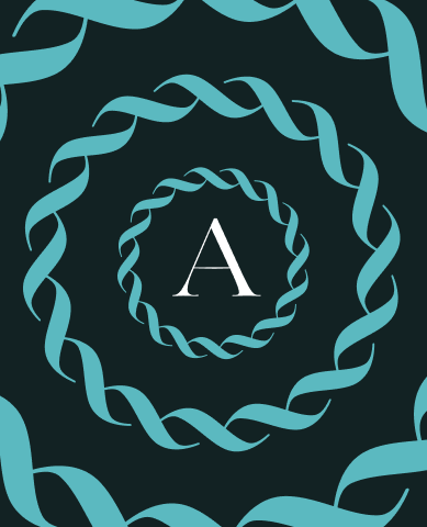 Aquamare Marine website — page design 3