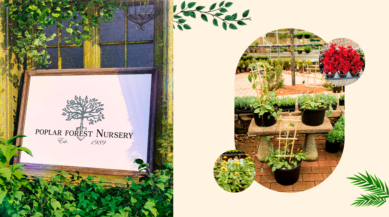Poplar Forest Nursery — Store overview