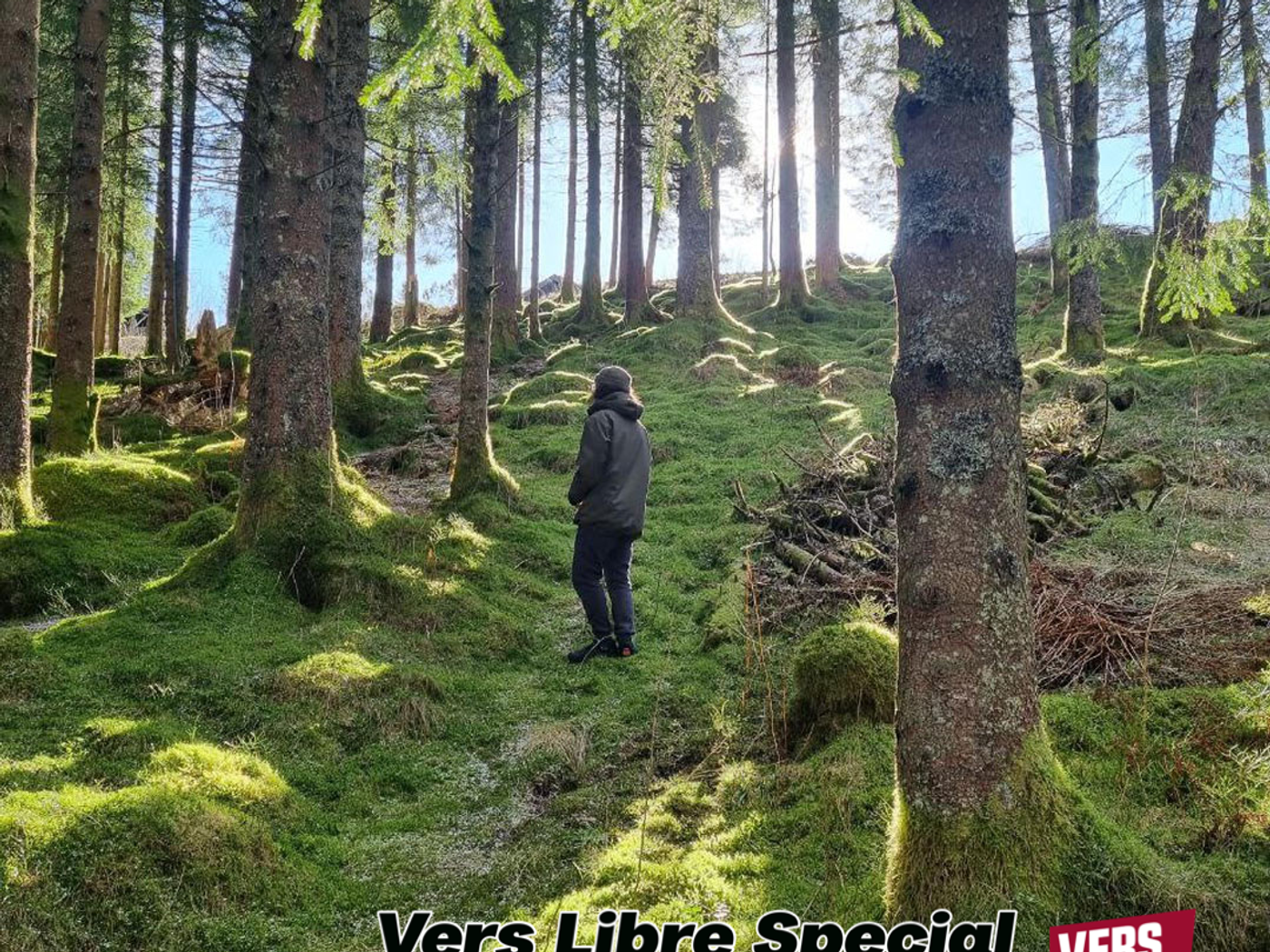 Vers Libre Special 8 April — A. Certo