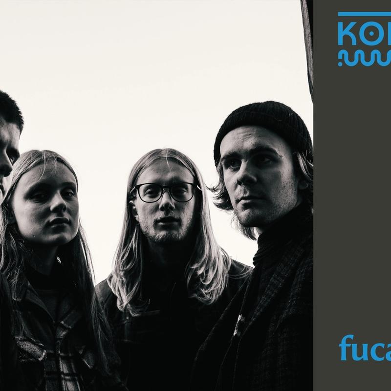Koha session: fucales