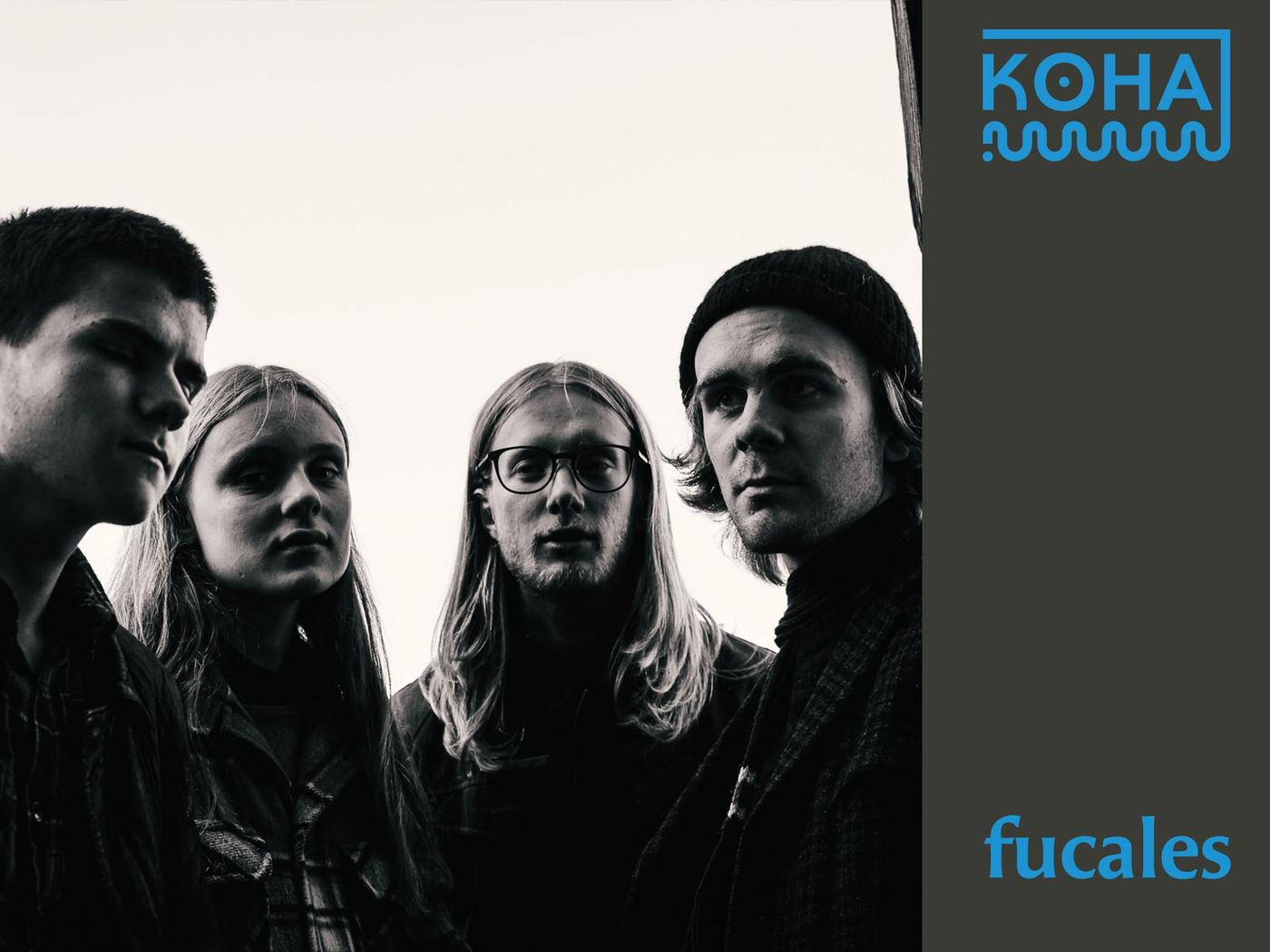 Koha session: fucales