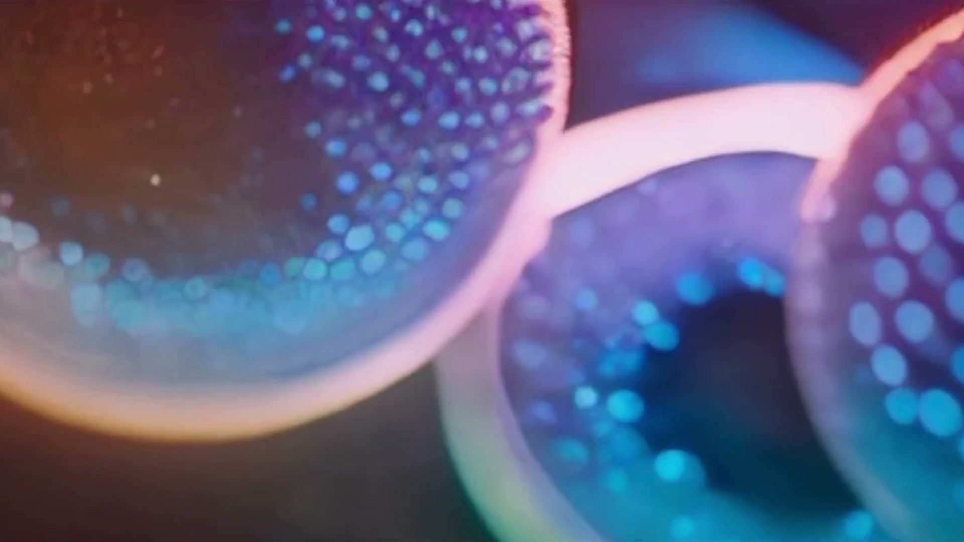 Macro imagery from the Medicilon homepage hero film