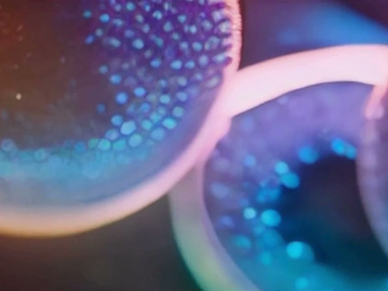 Macro imagery from the Medicilon homepage hero film