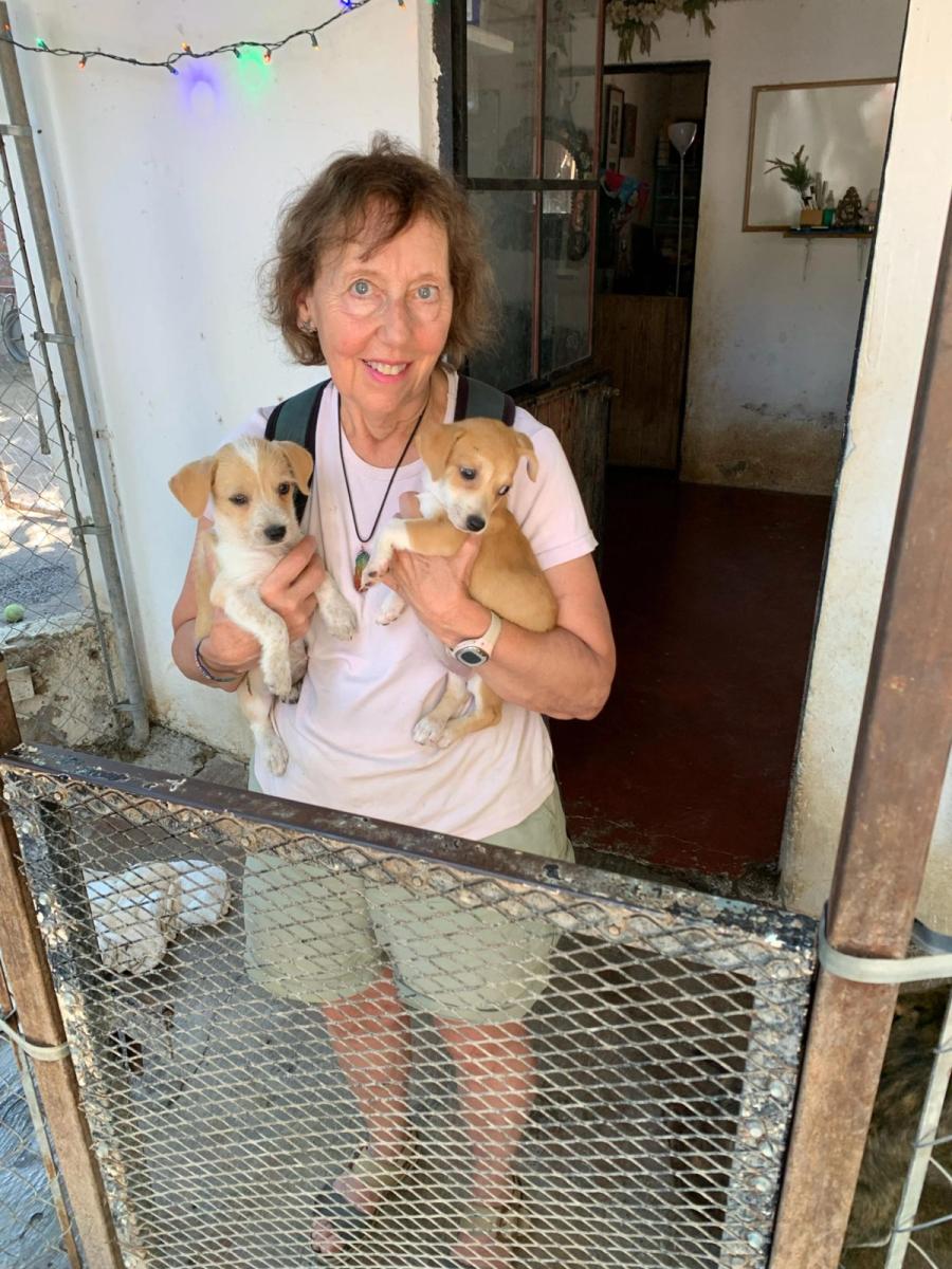 Me at an animal rescue, holding two puppies