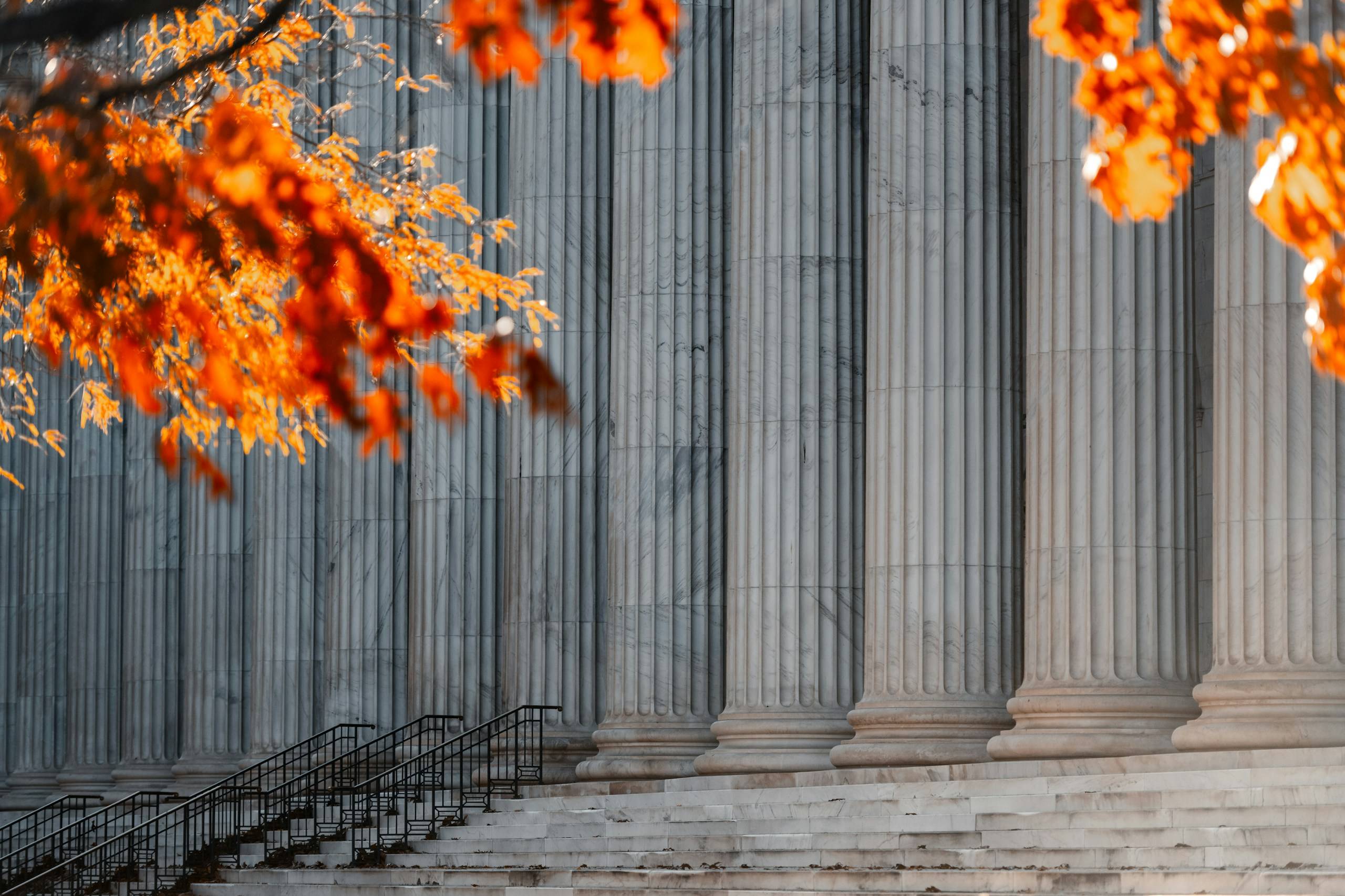 Courthouse columns and steps framed by autumn leaves