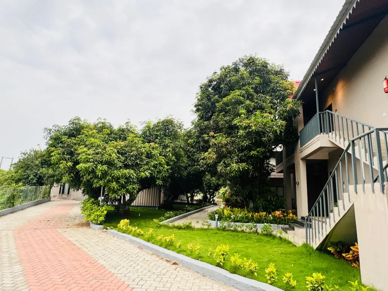 गिर सफारी गुजरात - Image 3