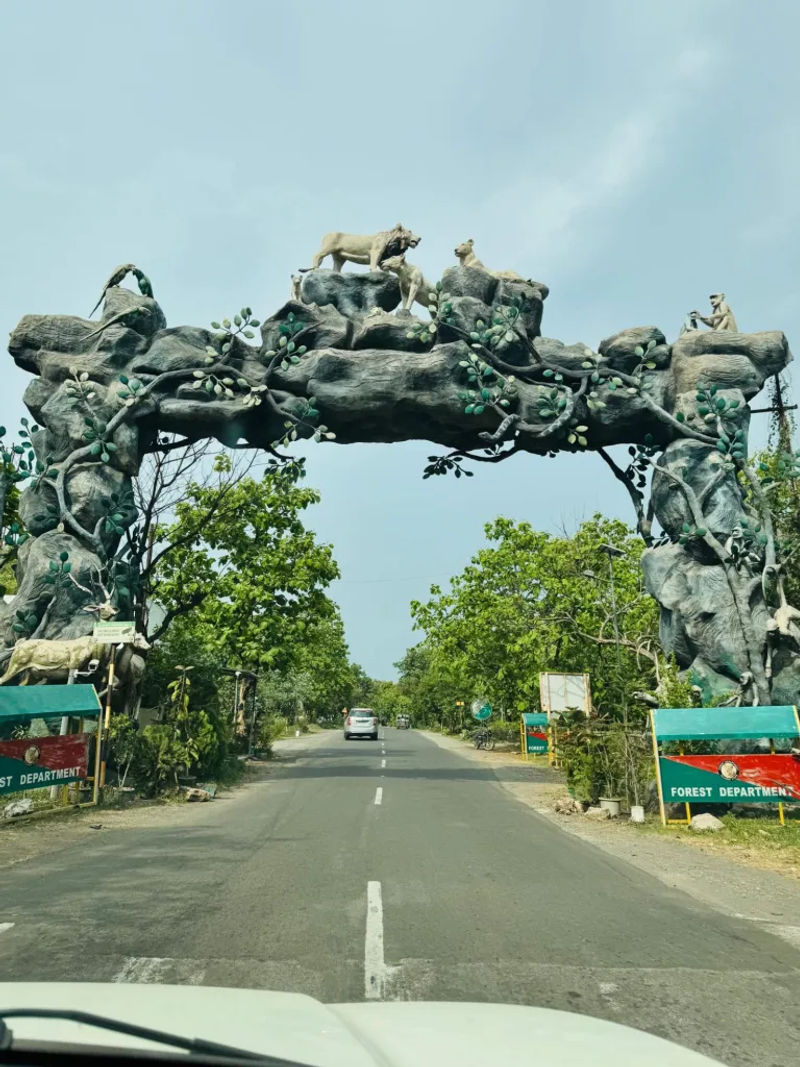 गिर सफारी गुजरात - Image 12