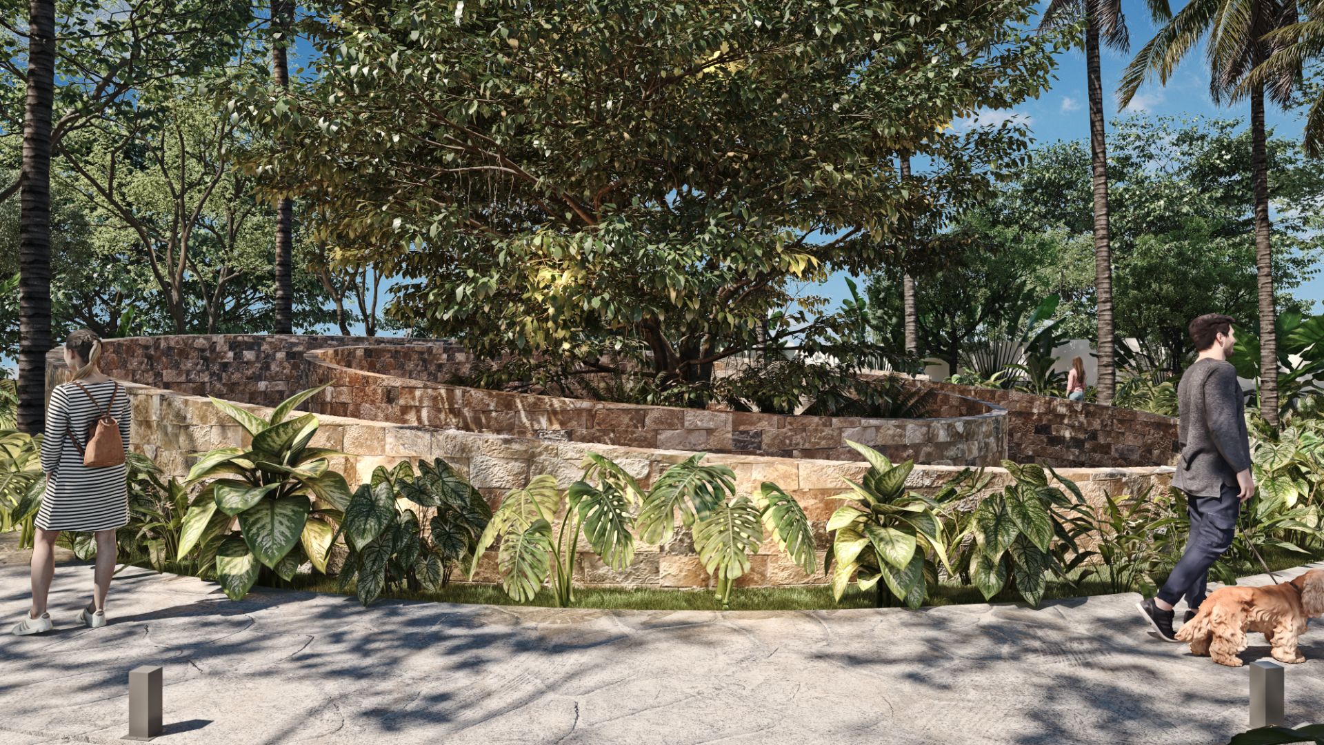 Amada Residencial - Caracol