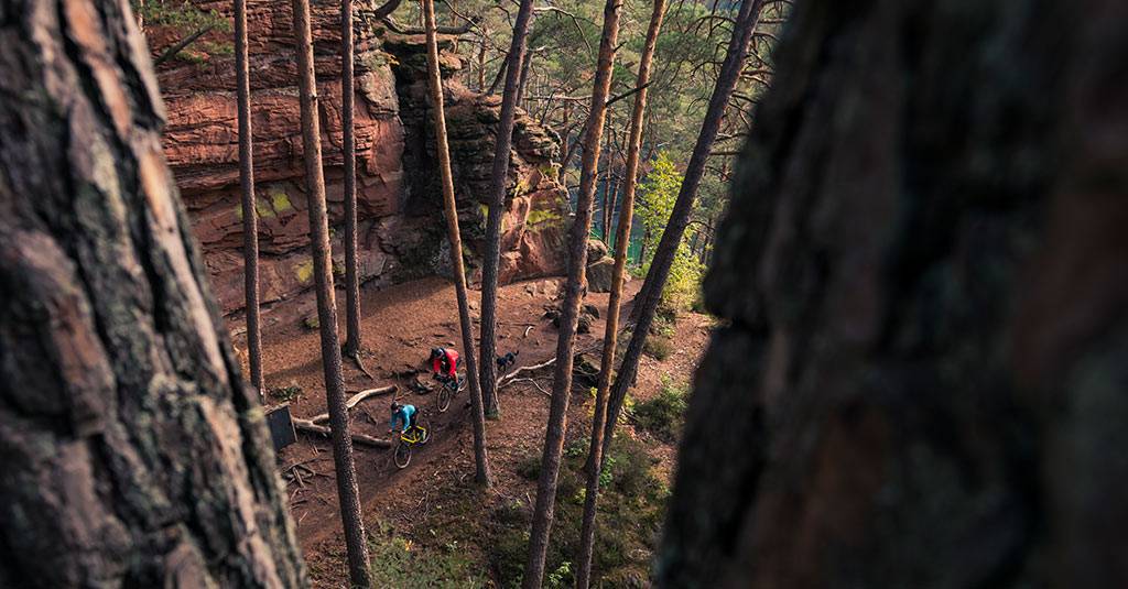 View between tree trunks down to people with bikes below red sandstone rocks
