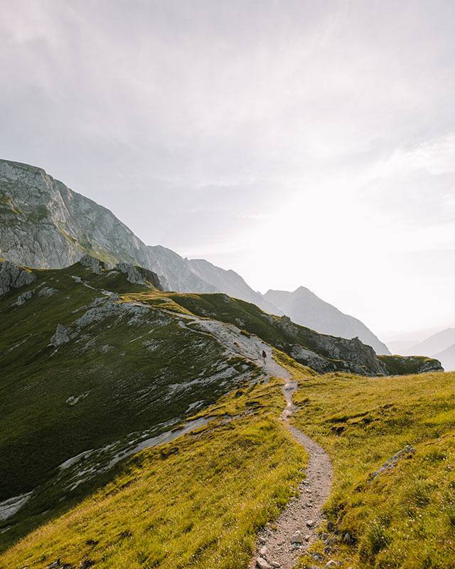 Narrow trail leading across an alpine meadow towards the mountains