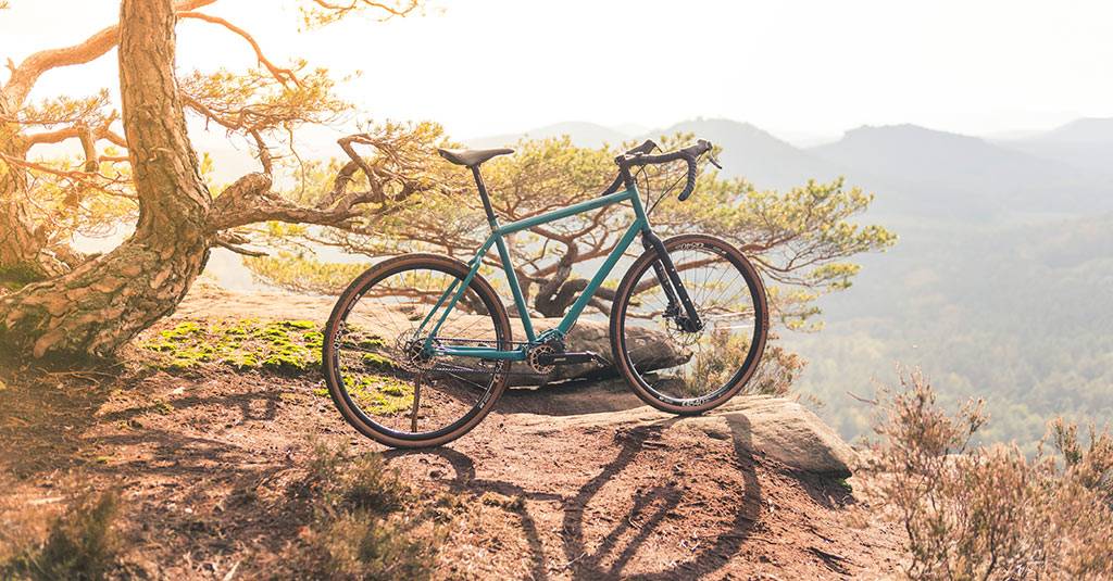 Gravel bike leaning on a sandstone rock under pine trees in warm backlight