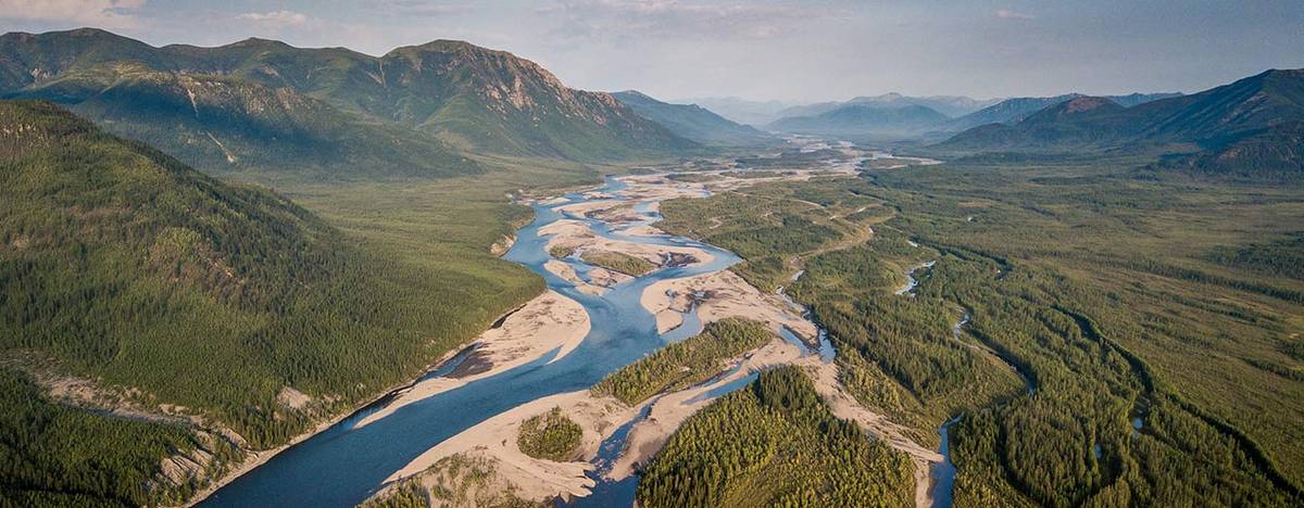 Aerial view of a braided river in a forested valley