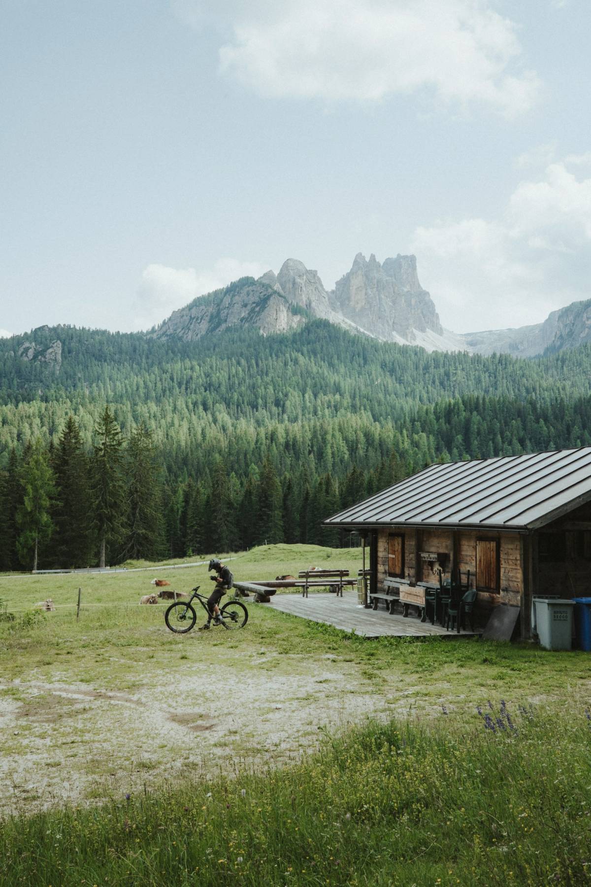 Mountain biker riding past an alpine hut, forest and jagged peaks behind