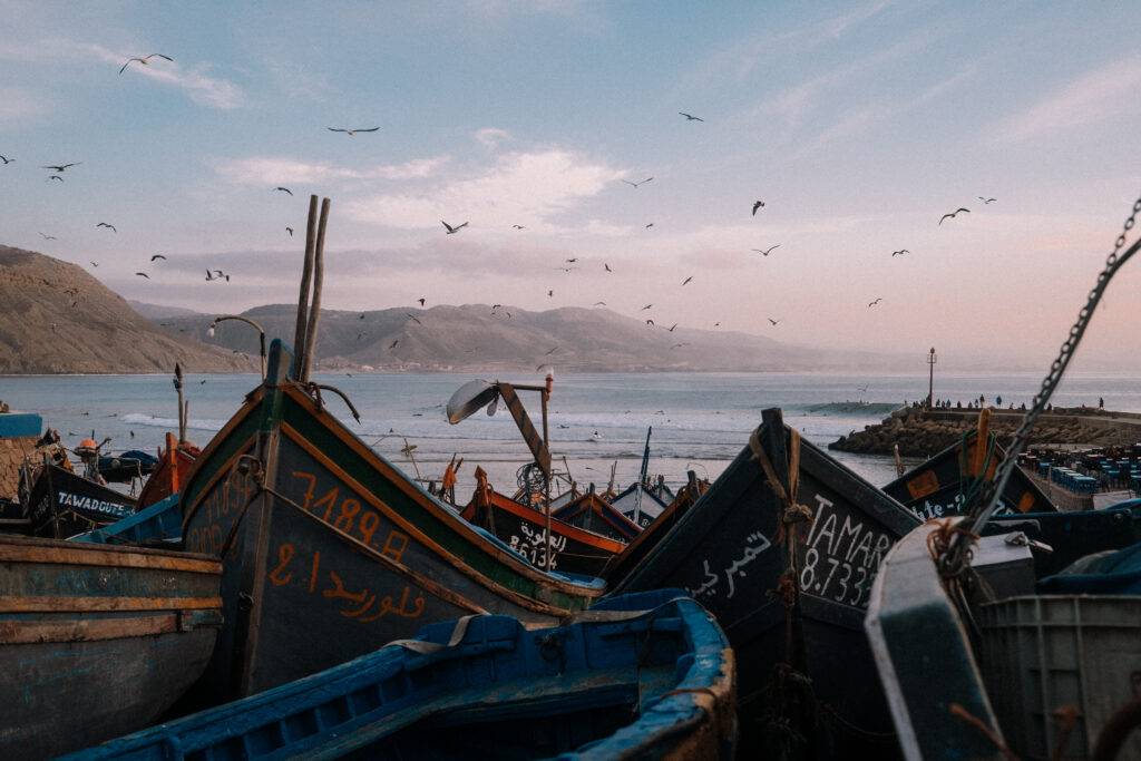 Colorful fishing boats crowd a harbor as seabirds fly over the water and distant hills.