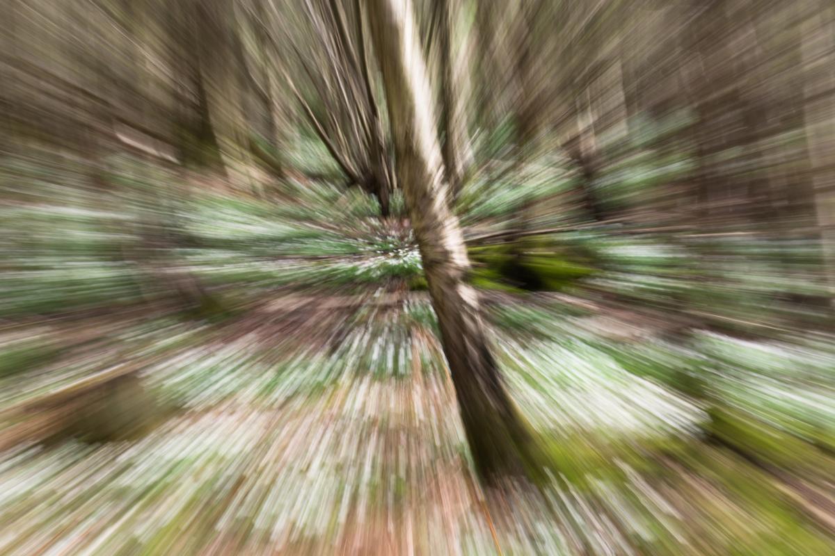 What "First-in-Class" Means for Oral BioLife