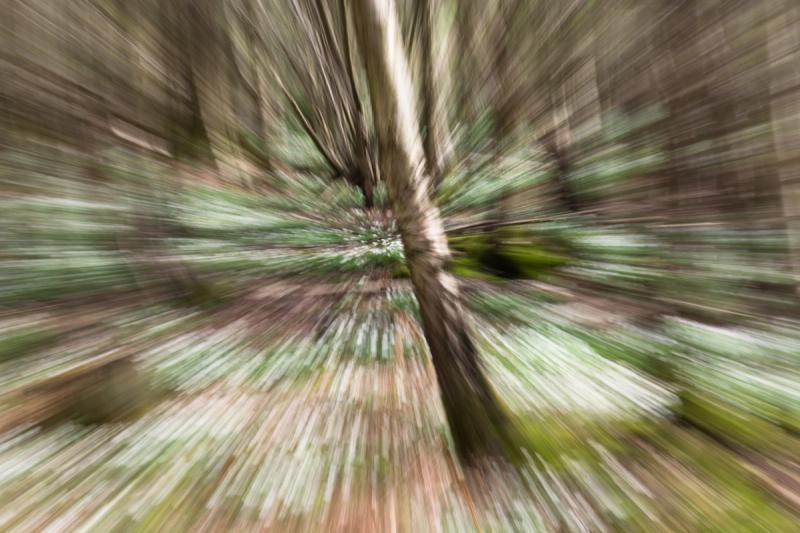 What "First-in-Class" Means for Oral BioLife