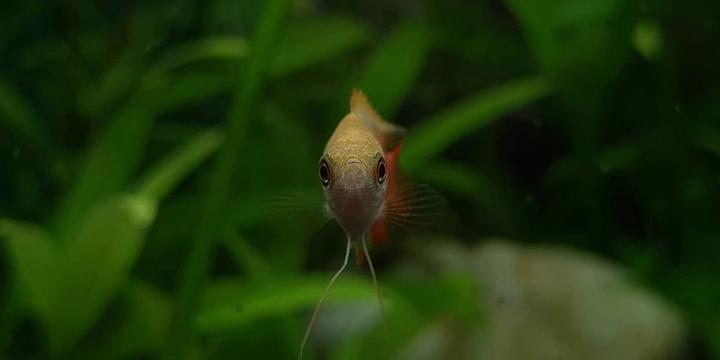 Welcome!