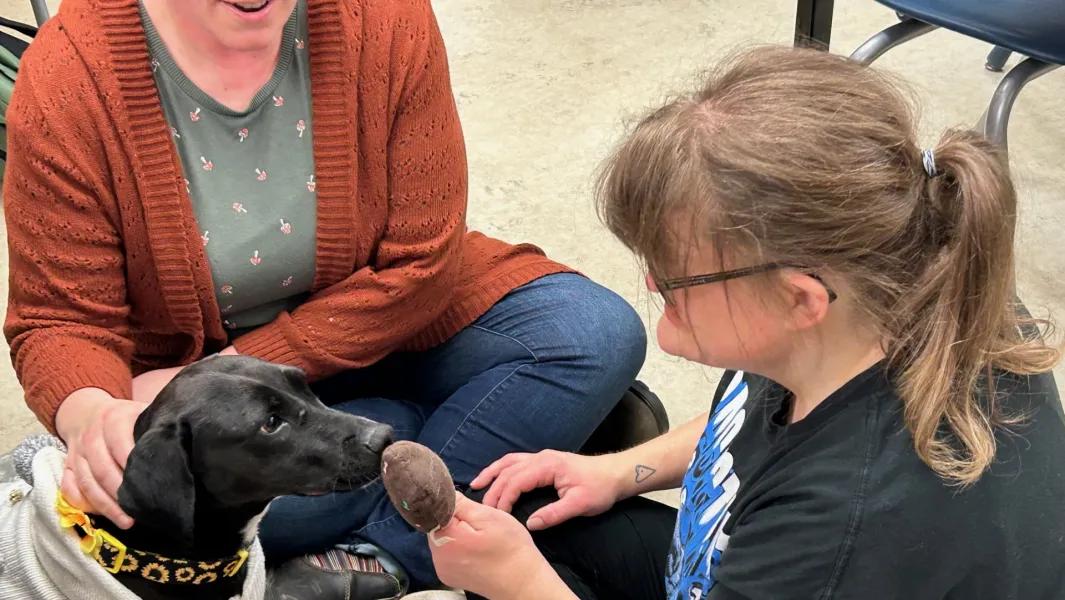 Student interacting with a therapy dog during a classroom session