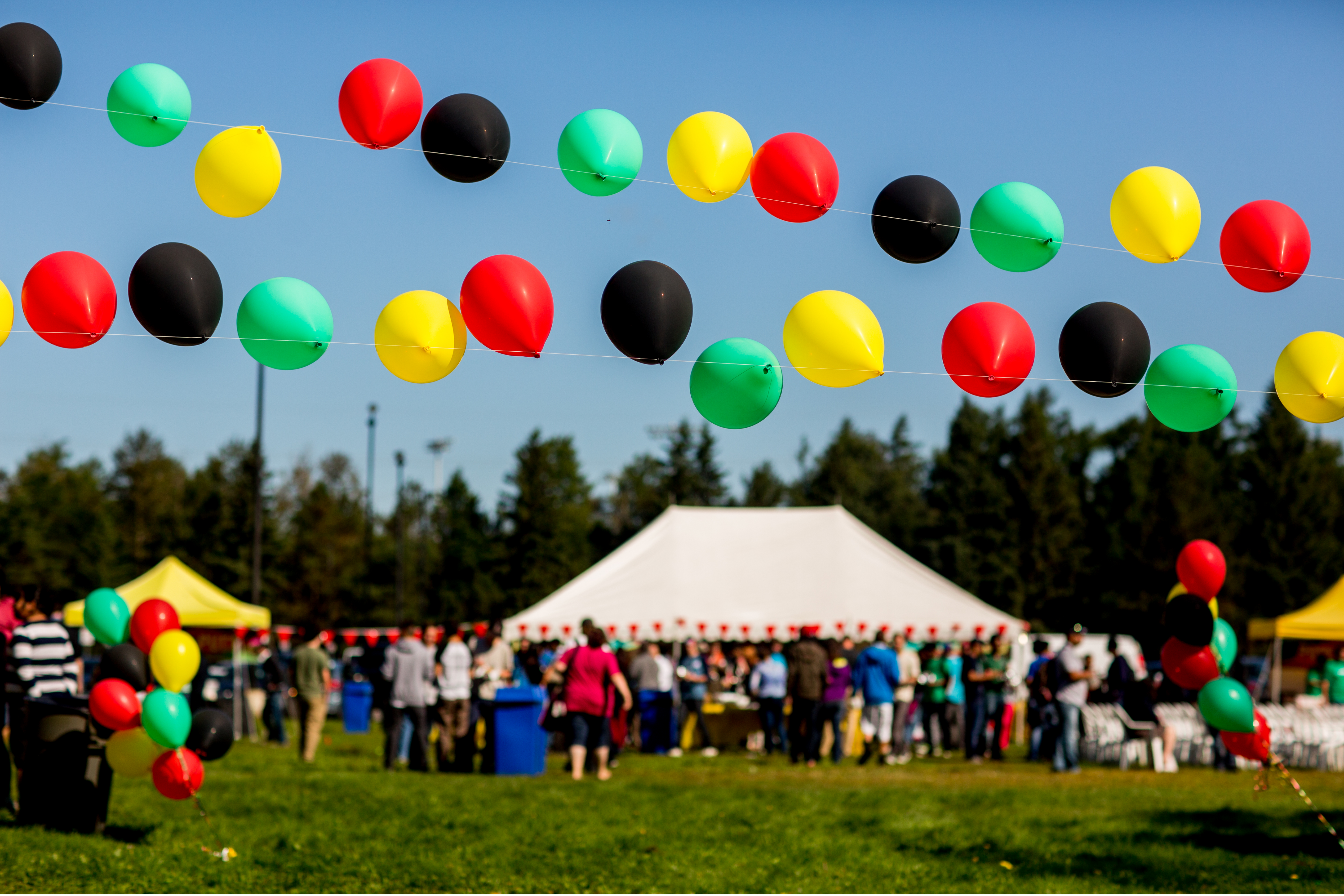 Image for College Recreation Association