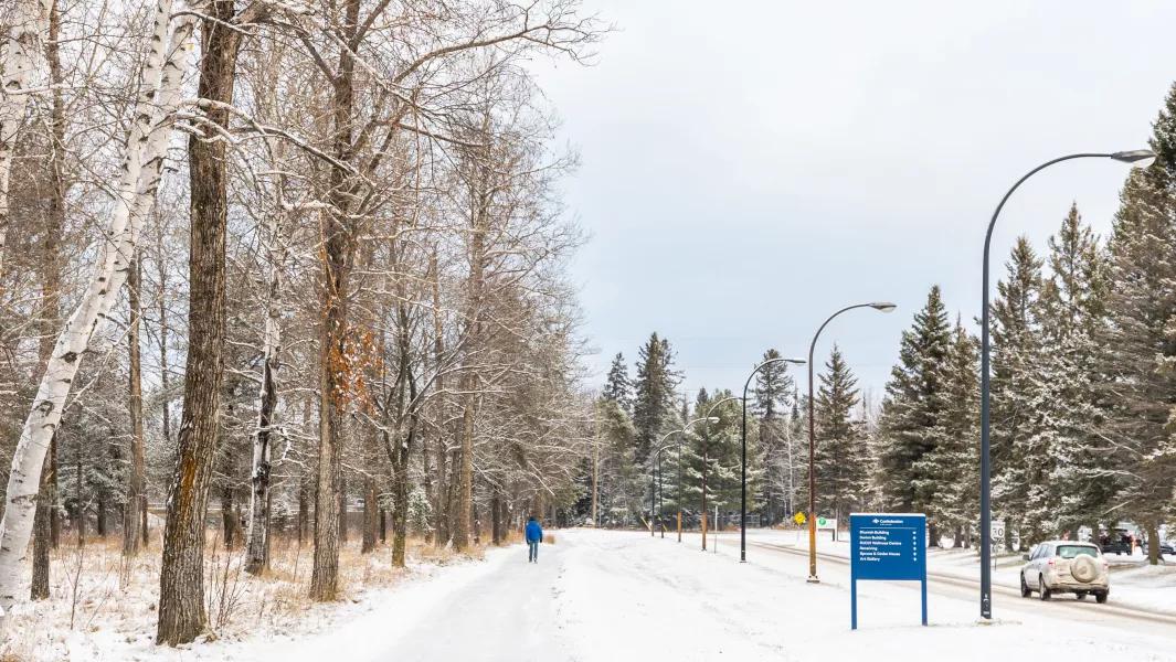 Snow-covered campus road lined with trees and residence signage