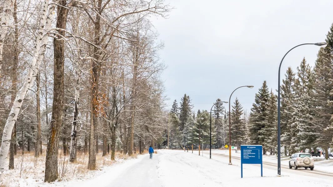 Snow-covered campus road lined with trees and residence signage