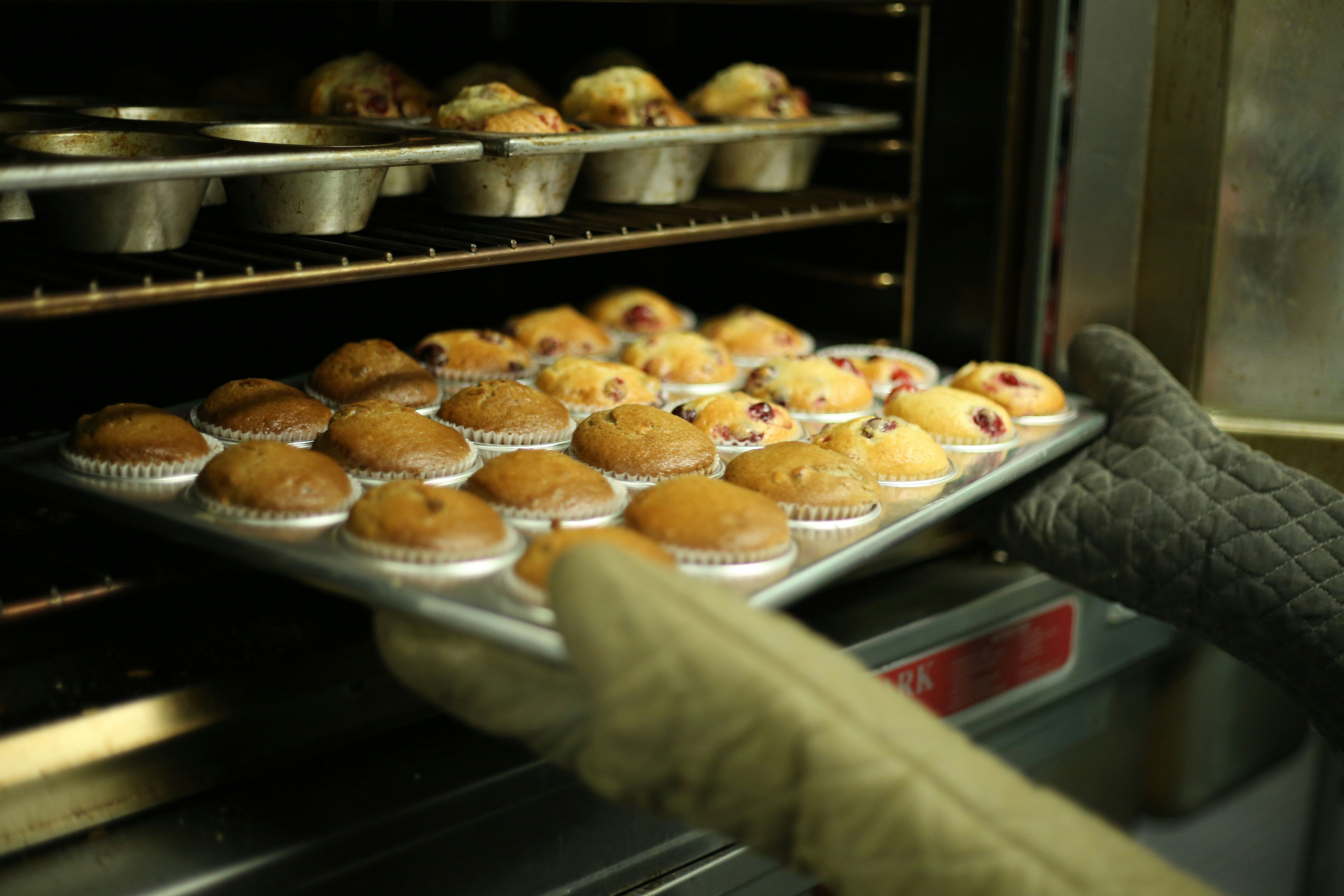 Muffins on a tray being pulled from an oven with quilted oven mitts