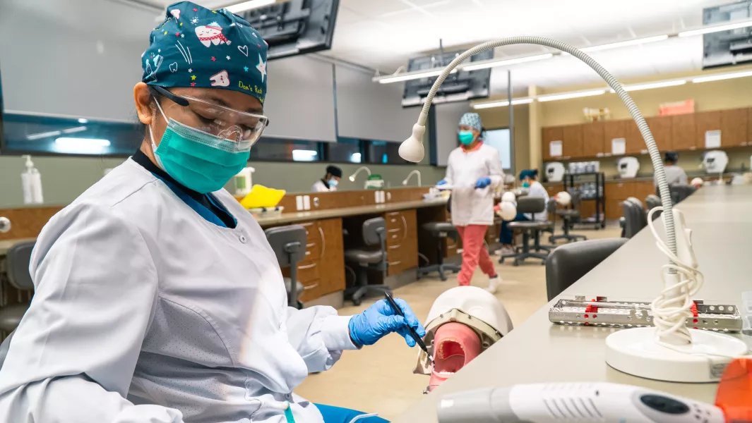 Dental assisting student performing a procedure on a dental mannequin in the lab