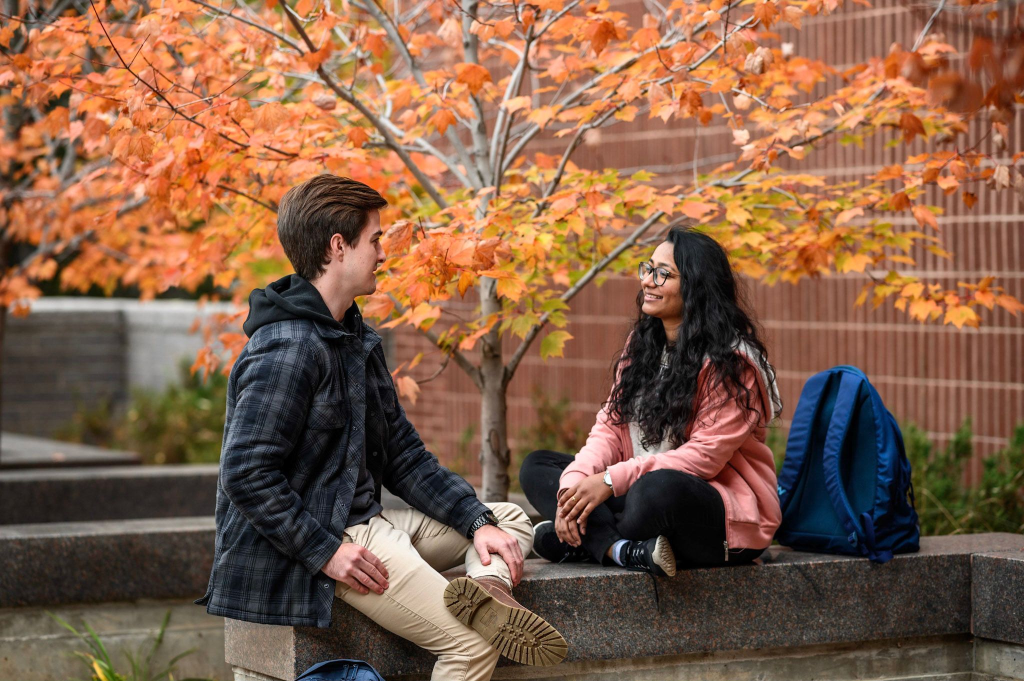 Image for SAFE Campus