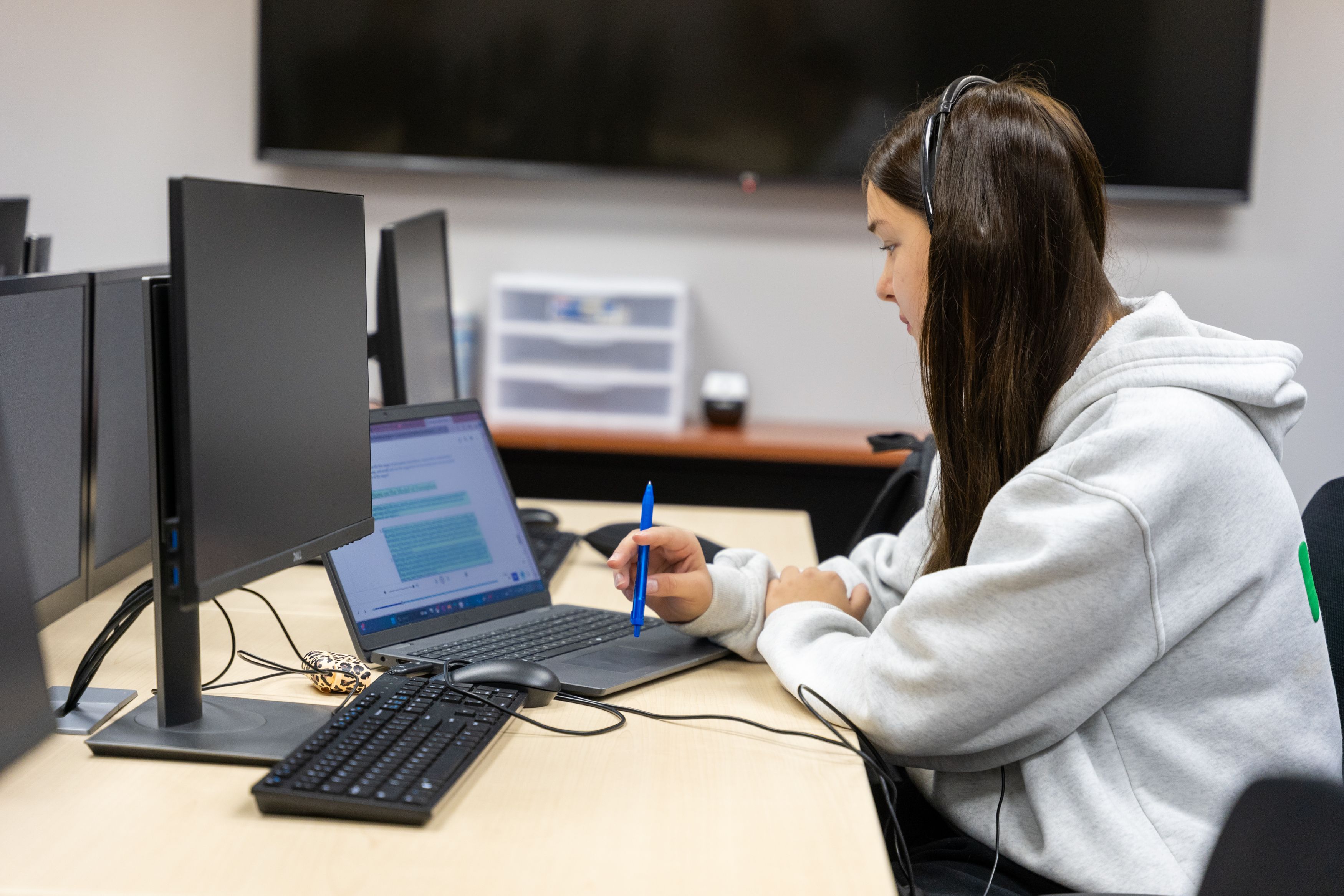 Image for Virtual Tutoring